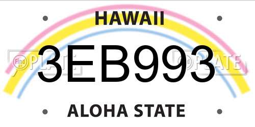 3EB993 Hawaii License Plate