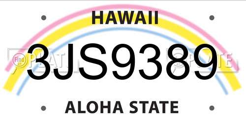 3JS9389 Hawaii License Plate