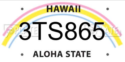 3TS865 Hawaii License Plate