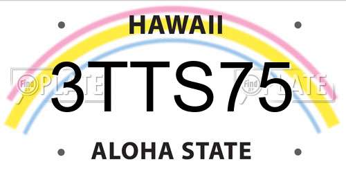 3TTS75 Hawaii License Plate