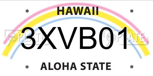 3XVB01 Hawaii License Plate