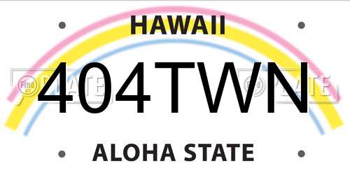 404TWN Hawaii License Plate
