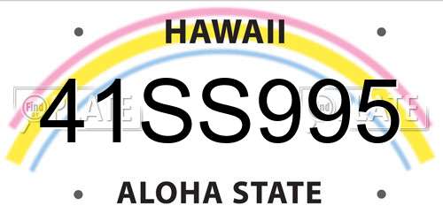 41SS995 Hawaii License Plate