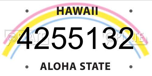 4255132 Hawaii License Plate