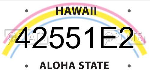 42551E2 Hawaii License Plate