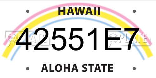 42551E7 Hawaii License Plate