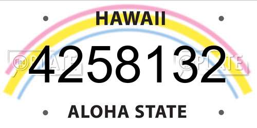4258132 Hawaii License Plate