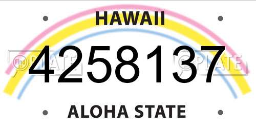4258137 Hawaii License Plate