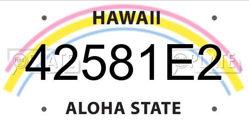 42581E2 Hawaii License Plate