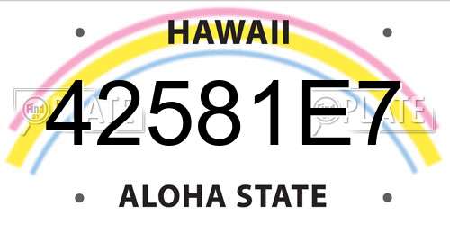 42581E7 Hawaii License Plate