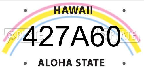 427A60 Hawaii License Plate