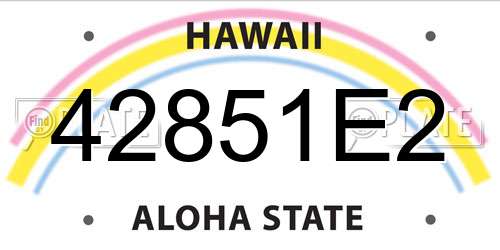 42851E2 Hawaii License Plate
