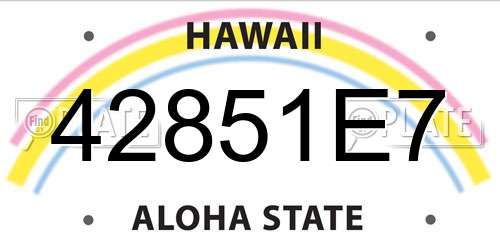 42851E7 Hawaii License Plate