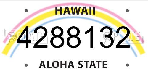 4288132 Hawaii License Plate