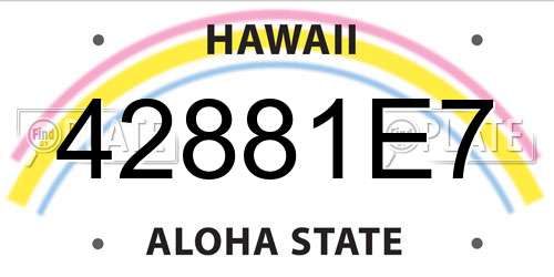42881E7 Hawaii License Plate