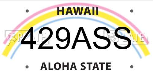 429ASS Hawaii License Plate