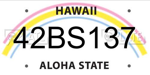42BS137 Hawaii License Plate