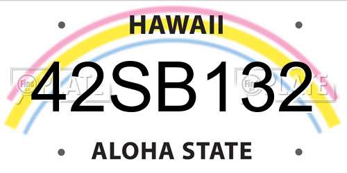 42SB132 Hawaii License Plate