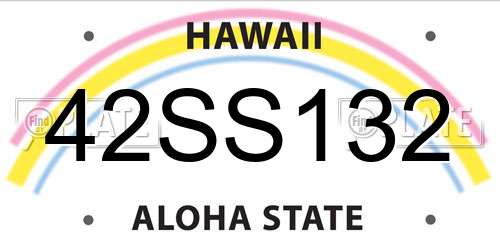 42SS132 Hawaii License Plate