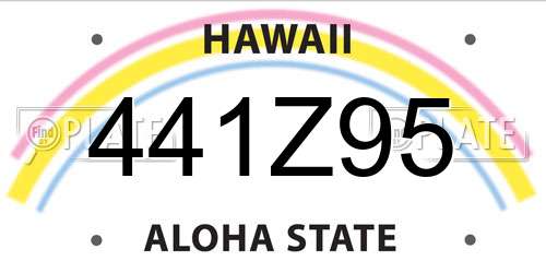 441Z95 Hawaii License Plate
