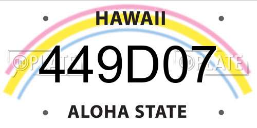 449D07 Hawaii License Plate