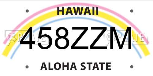 458ZZM Hawaii License Plate
