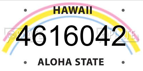 4616042 Hawaii License Plate