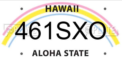 461SXO Hawaii License Plate