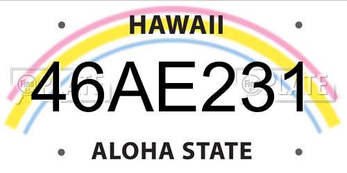 46AE231 Hawaii License Plate