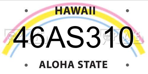 46AS310 Hawaii License Plate
