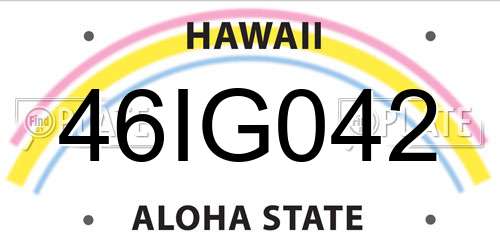 46IG042 Hawaii License Plate