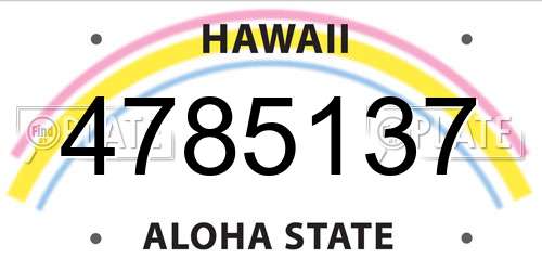 4785137 Hawaii License Plate