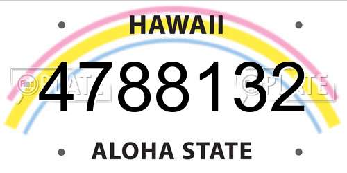 4788132 Hawaii License Plate