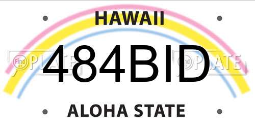 484BID Hawaii License Plate