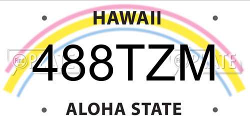 488TZM Hawaii License Plate