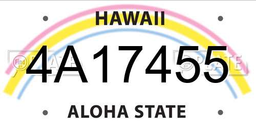 4A17455 Hawaii License Plate