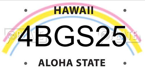 4BGS25 Hawaii License Plate
