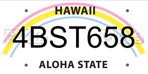 4BST658 Hawaii License Plate