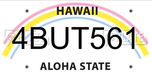 4BUT561 Hawaii License Plate