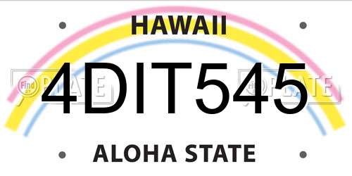 4DIT545 Hawaii License Plate