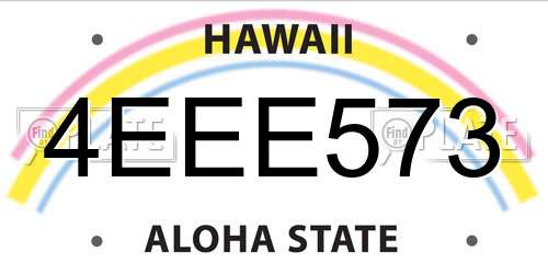 4EEE573 Hawaii License Plate