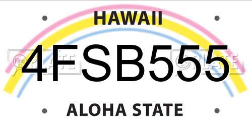 4FSB555 Hawaii License Plate