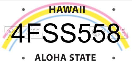 4FSS558 Hawaii License Plate