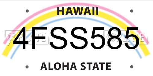 4FSS585 Hawaii License Plate