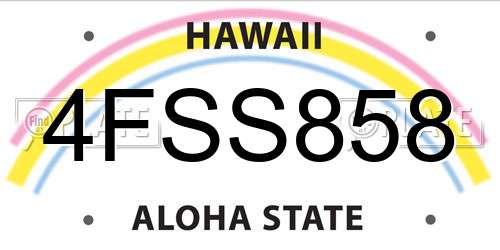 4FSS858 Hawaii License Plate