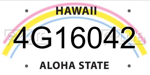 4G16042 Hawaii License Plate