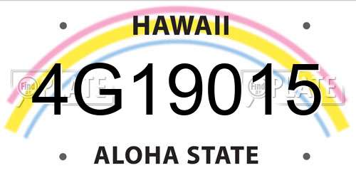 4G19015 Hawaii License Plate