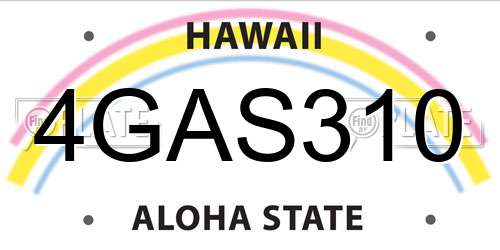 4GAS310 Hawaii License Plate