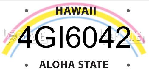 4GI6042 Hawaii License Plate