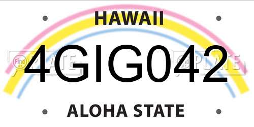 4GIG042 Hawaii License Plate